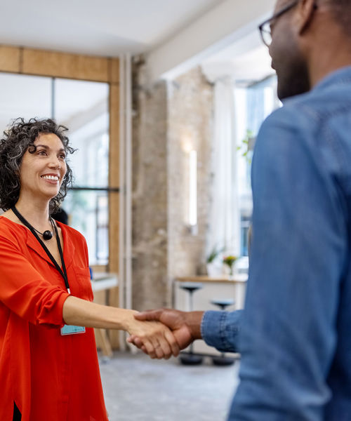 Two Professionals Shaking Hands 