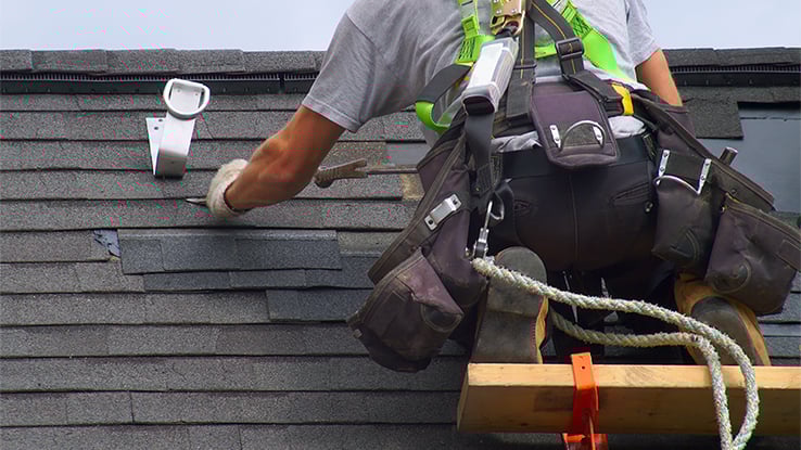 Vizualize 738px 1175090625 