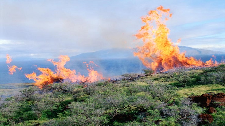 Fields On Fire Teaser 