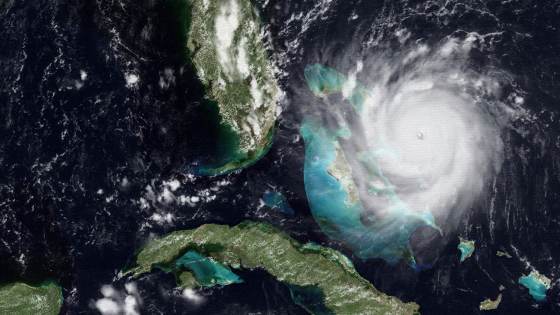 Hurricane from space