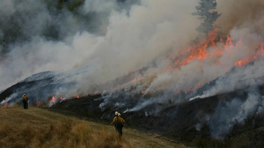 wildfire risk review and analysis