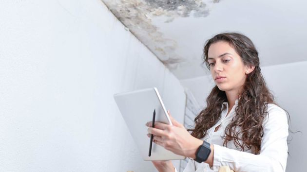 Woman Doing Construction 