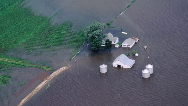 Gettyimages 523723896 