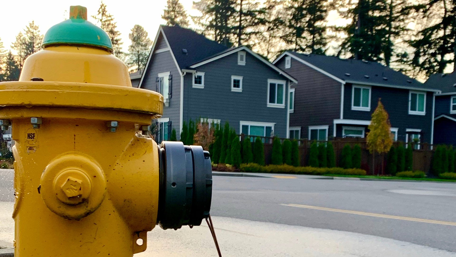 Hydrant