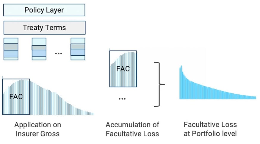ngm_direct_facultative_treaty_fig6