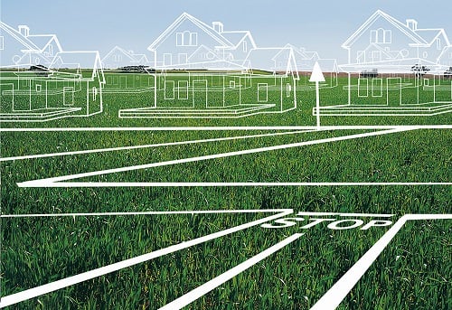 houses in field article image2