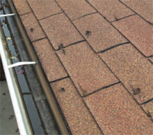Hail damage to older roof